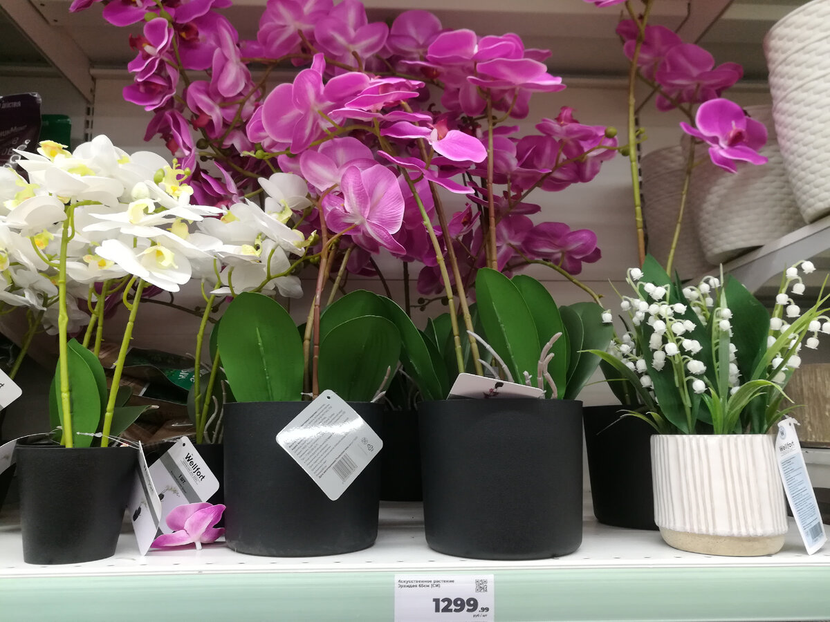 Искусственные орхидеи в Магните Экстра весьма реалистичны