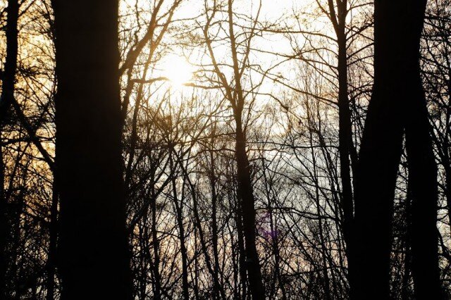   Фото из архива Калининград.Ru