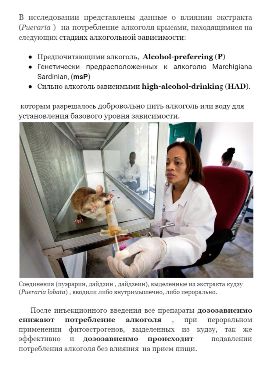 Исследование 2003 г влияния экстракта кудзу на алкоголезависимых крысах

