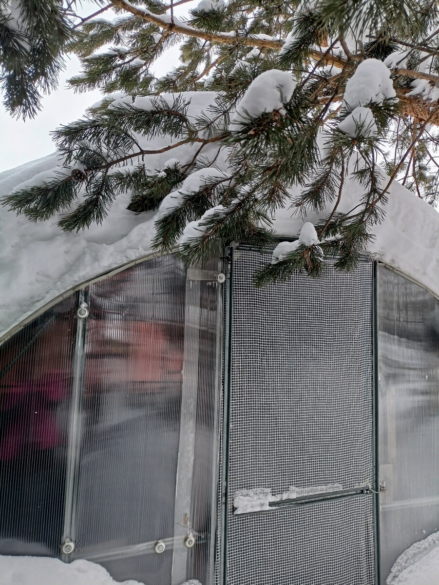 Кот будит рано утром. И снова здрасьте картинки. Я люблю спать. С добрым утром злые. Доброе утро цитаты.