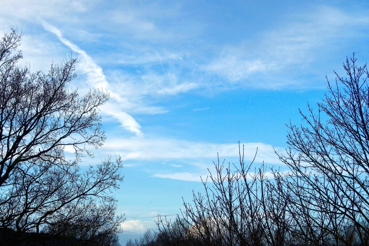 Фото из свободных источников.