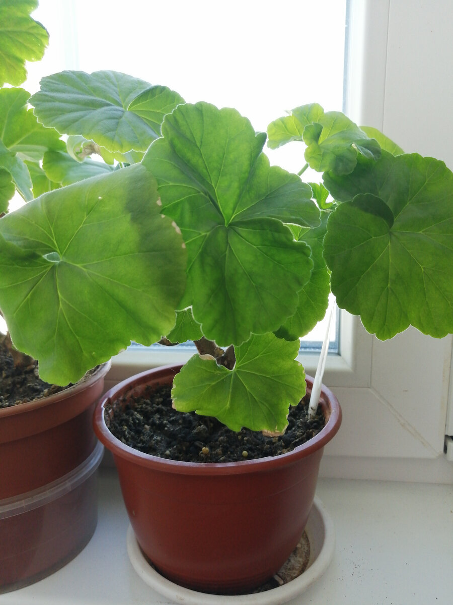 Потерпите ещё немного