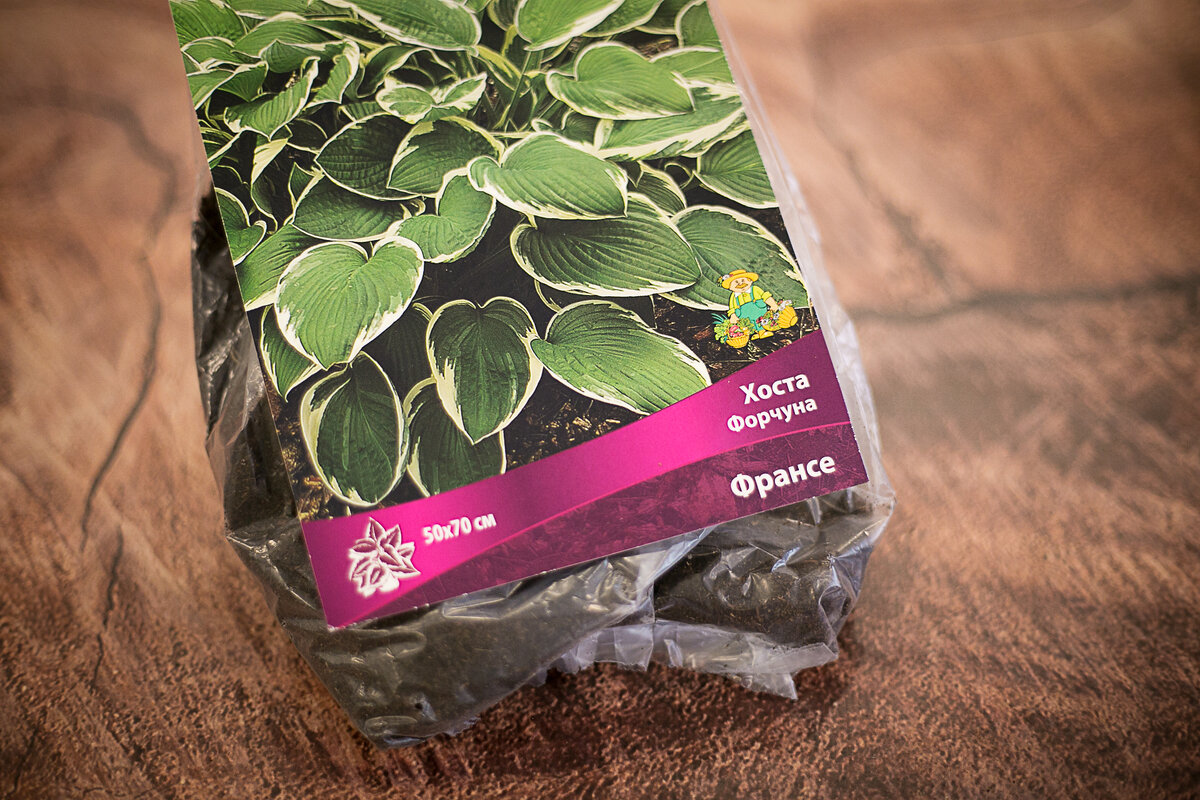 Листайте, в карусели 3 фото