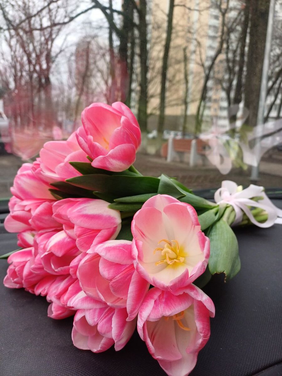 Мои