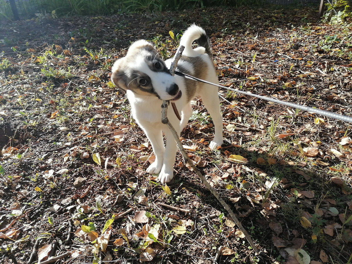 Фото автора