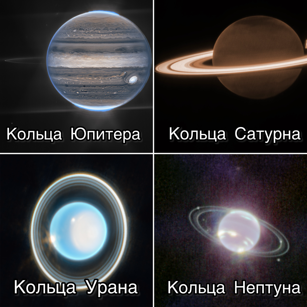 Кольца Юпитера, источник: https://blogs.nasa.gov/webb/2022/08/22/webbs-jupiter-images-showcase-auroras-hazes/ кольца Сатурна, источник: https://blogs.nasa.gov/webb/2023/06/30/saturns-rings-shine-in-webbs-observations-of-ringed-planet/ кольца Урана: https://www.nasa.gov/missions/webb/nasas-webb-rings-in-holidays-with-ringed-planet-uranus/ кольца Нептуна: https://www.nasa.gov/solar-system/new-webb-image-captures-clearest-view-of-neptunes-rings-in-decades/