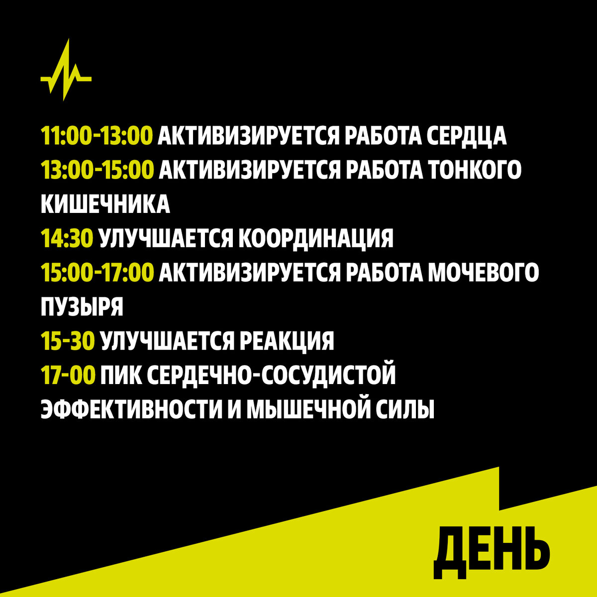 Как улучшить качество жизни и спортивные показатели, учитывая биоритмы |  IRONSTAR | Дзен