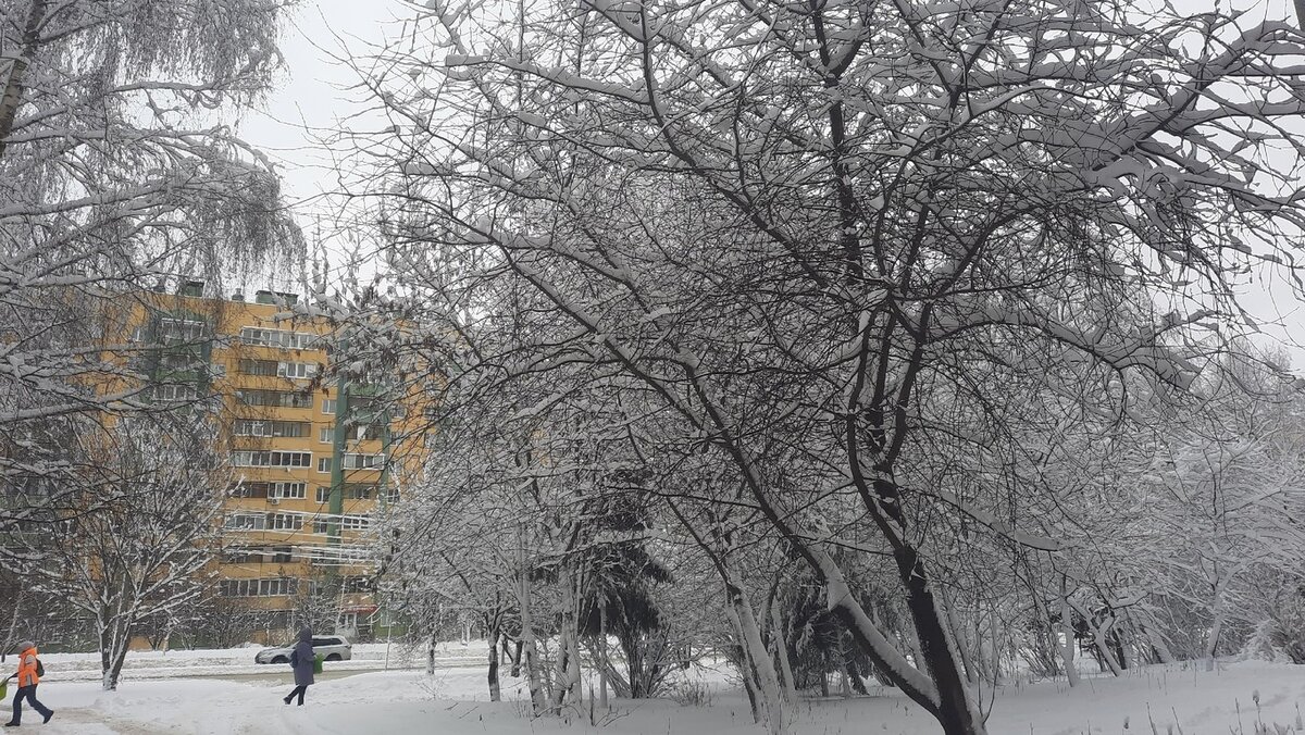    В Курской области 10 марта ожидается до -10 градусов