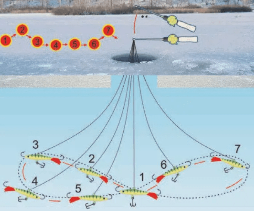 Фото с сайта: https://profrybolov.ru