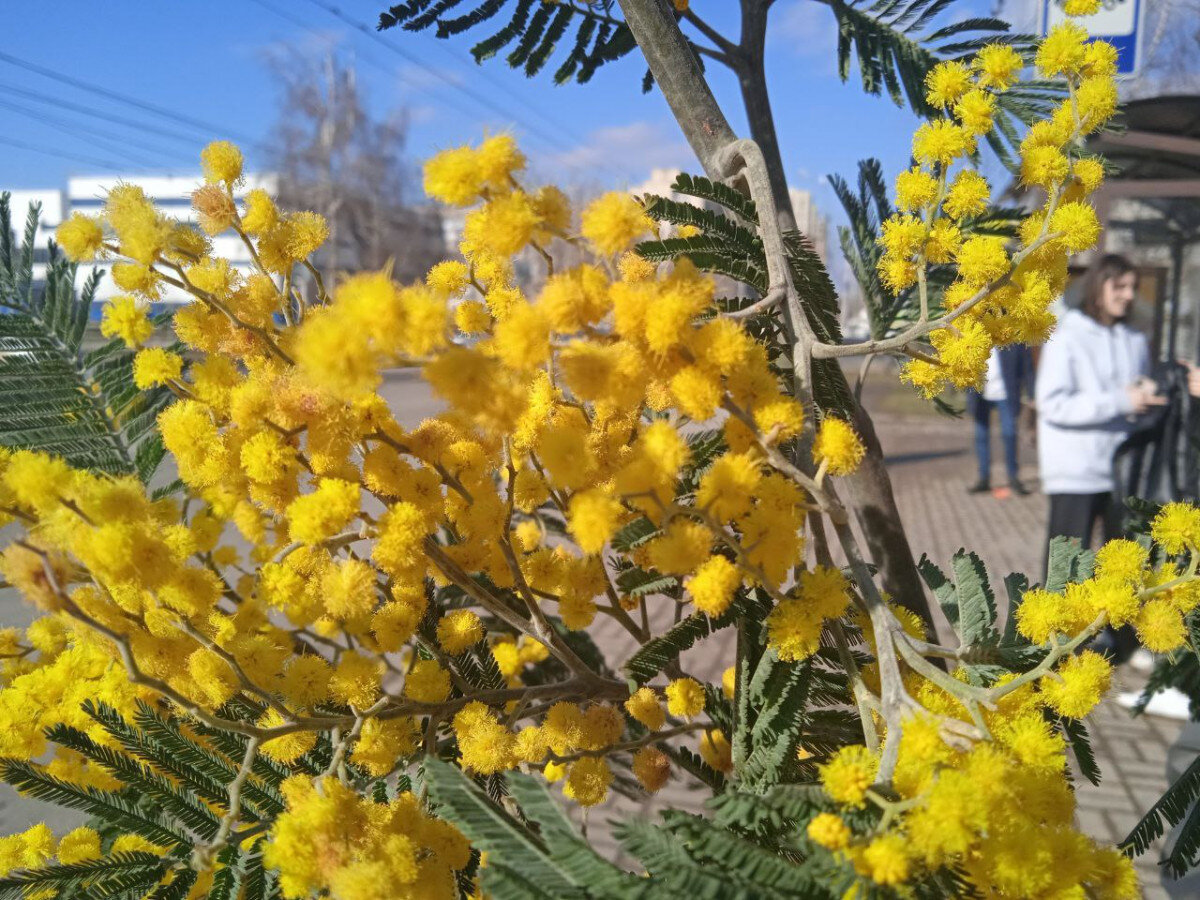   ГТРК "Ставрополье"