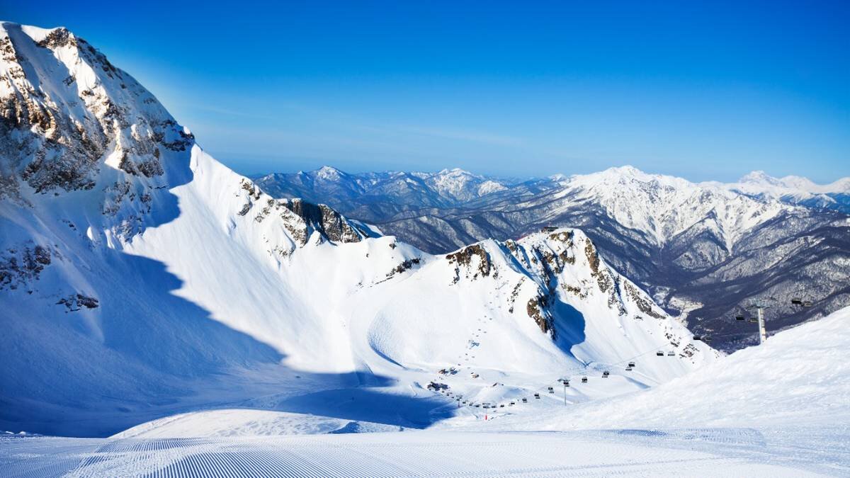    Фото: Shutterstock