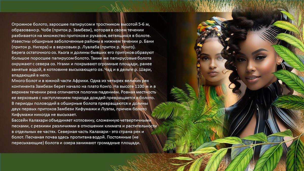 Фотоальбом чернокожих африканских женщин представляет инновации в озеленении и улучшении почв континента.-12