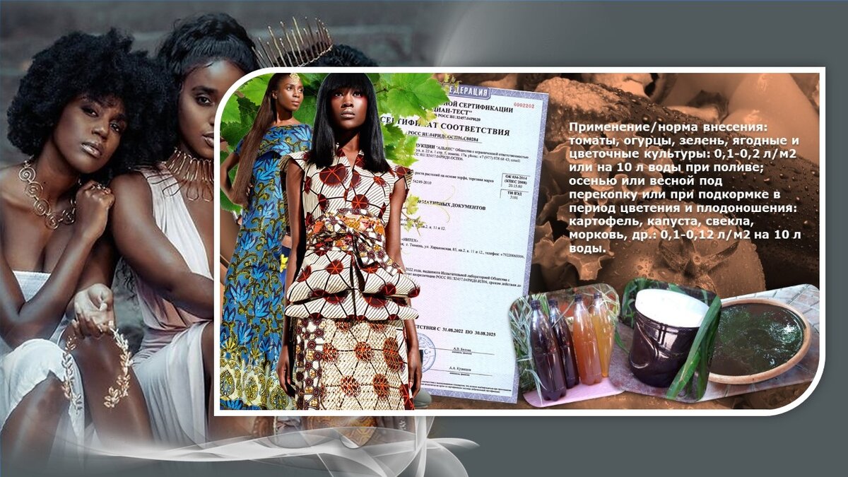 Фотоальбом чернокожих африканских женщин представляет инновации в озеленении и улучшении почв континента.-24