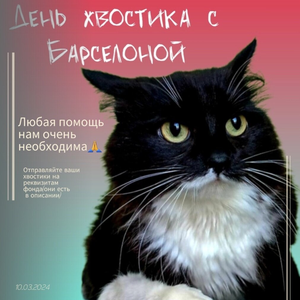 Реквизиты фонда находятся в самом конце статьи⤵️