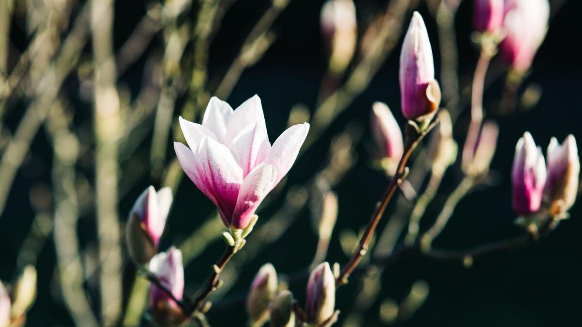    Люди будут отдыхать в мае и апреле на выходные. Фото: piqsels