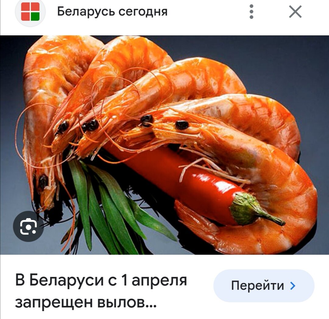 Официальный портал беларусского СМИ сообщает