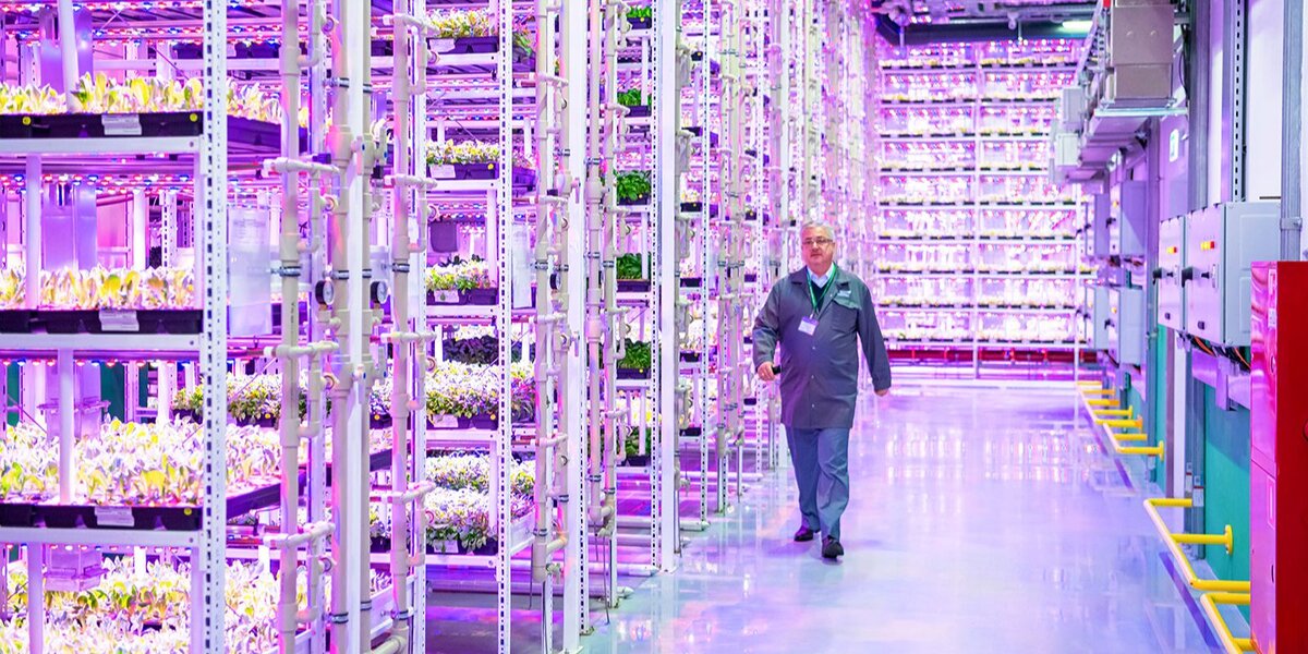    Фото М. Мишина. Пресс-служба мэра и правительства Москвы