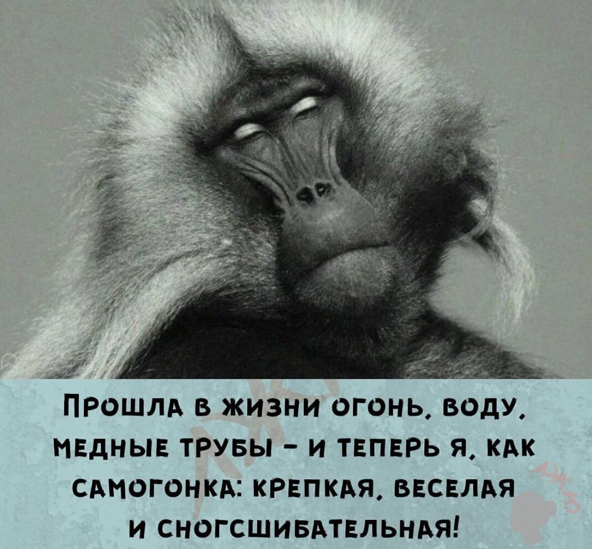 Мысли вслух картинки прикольные