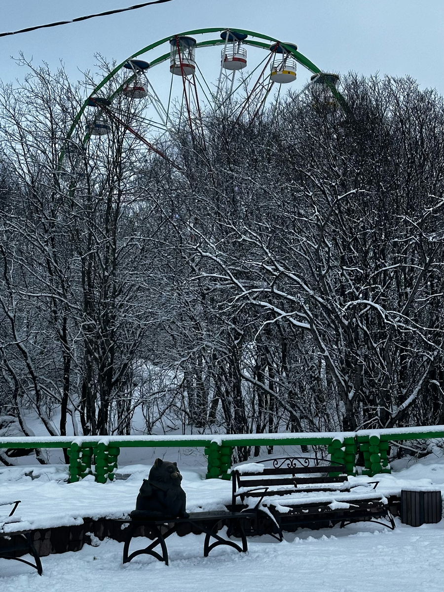 Памятник коту Семёну в Мурманске