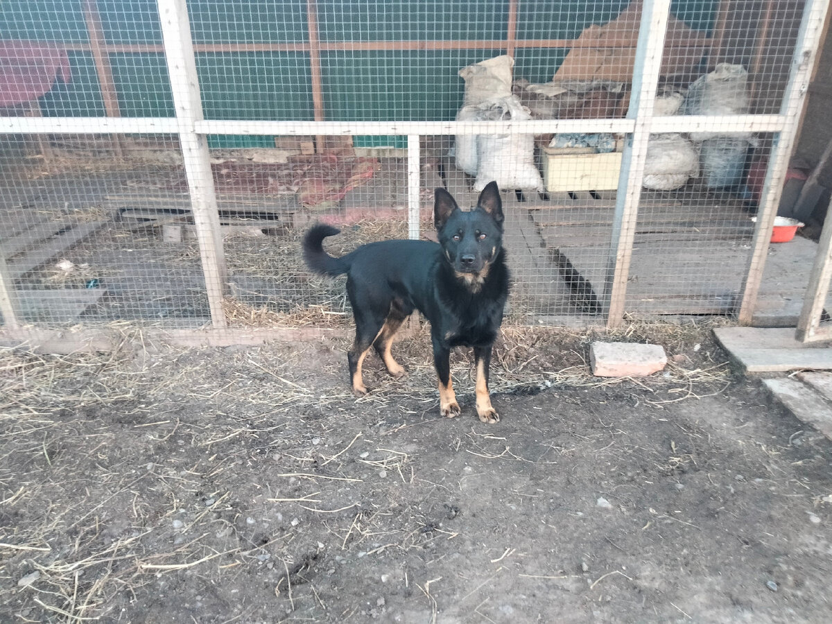 Надписи на асфальте я твою жену. Вышел юрик во двор а там. А выйдет гулять мем. А будущее выйдет гулять. Покраска детской площадки.