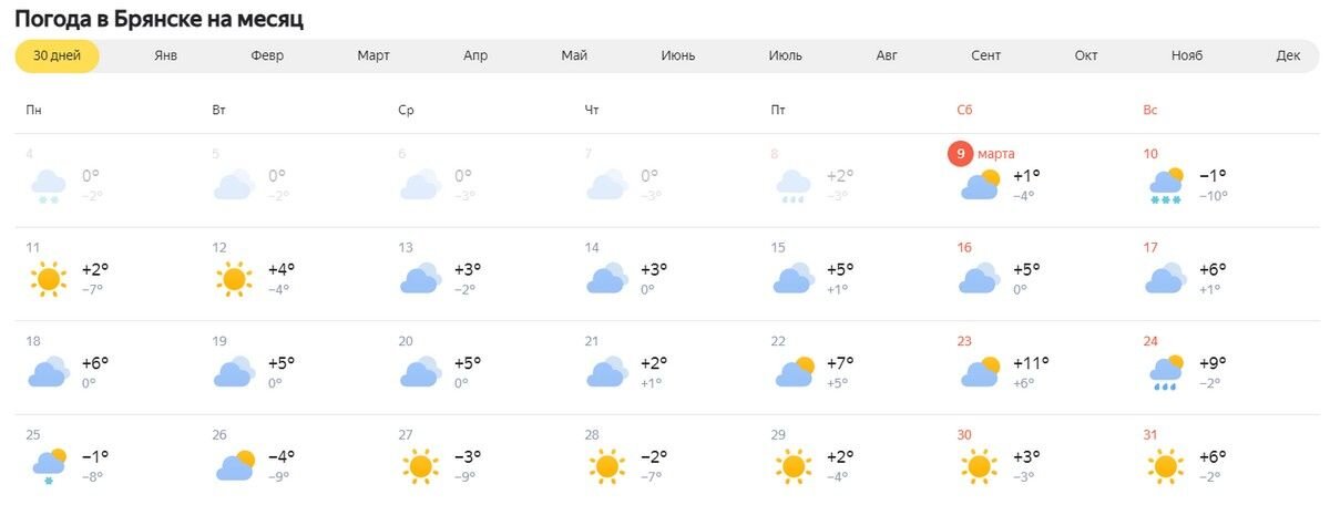 Погода брянск точный по часам