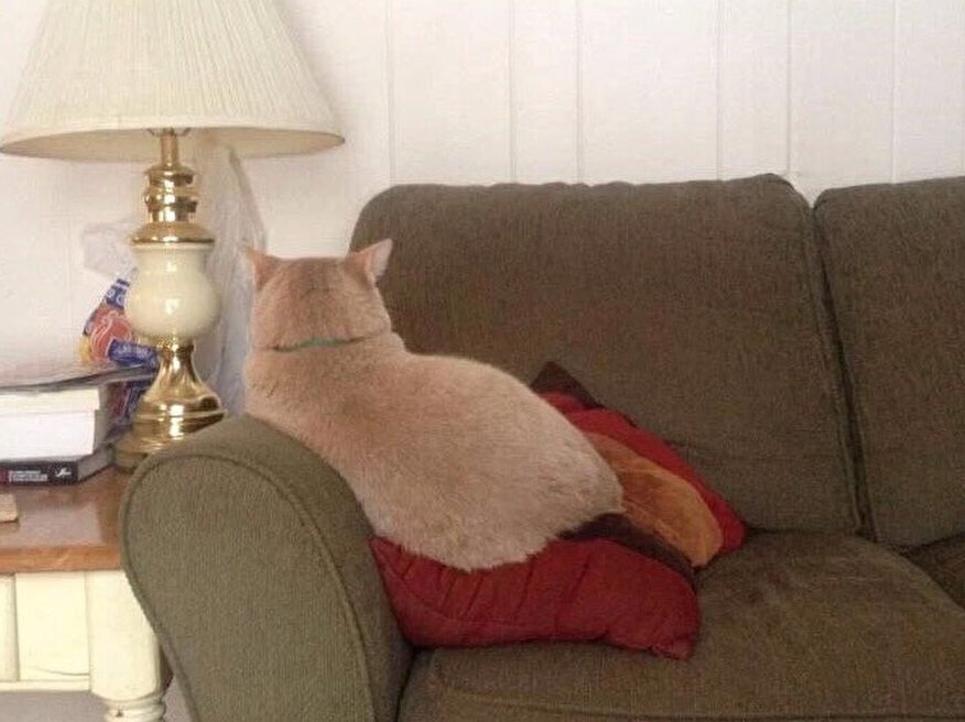 Очень плохо мем. Алеша мем. Плохо мем. Очень плохо работает. Очень плохо работает.