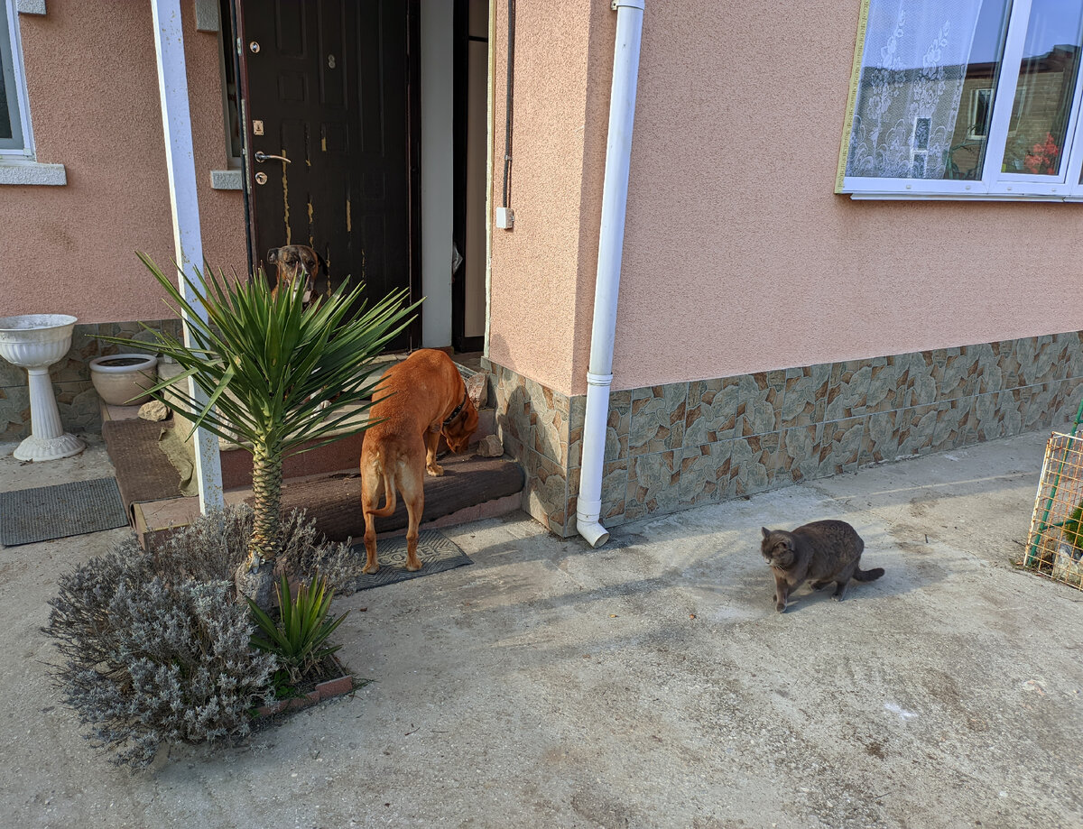 Девушка хочет. Так хочется счастья. Чего хотят нормальные девушки. Смешные комиксы про девушек. Я хочу быть обычным.