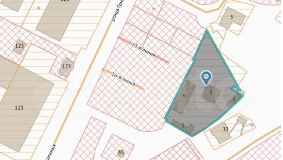    Автор фото: Nikoliers