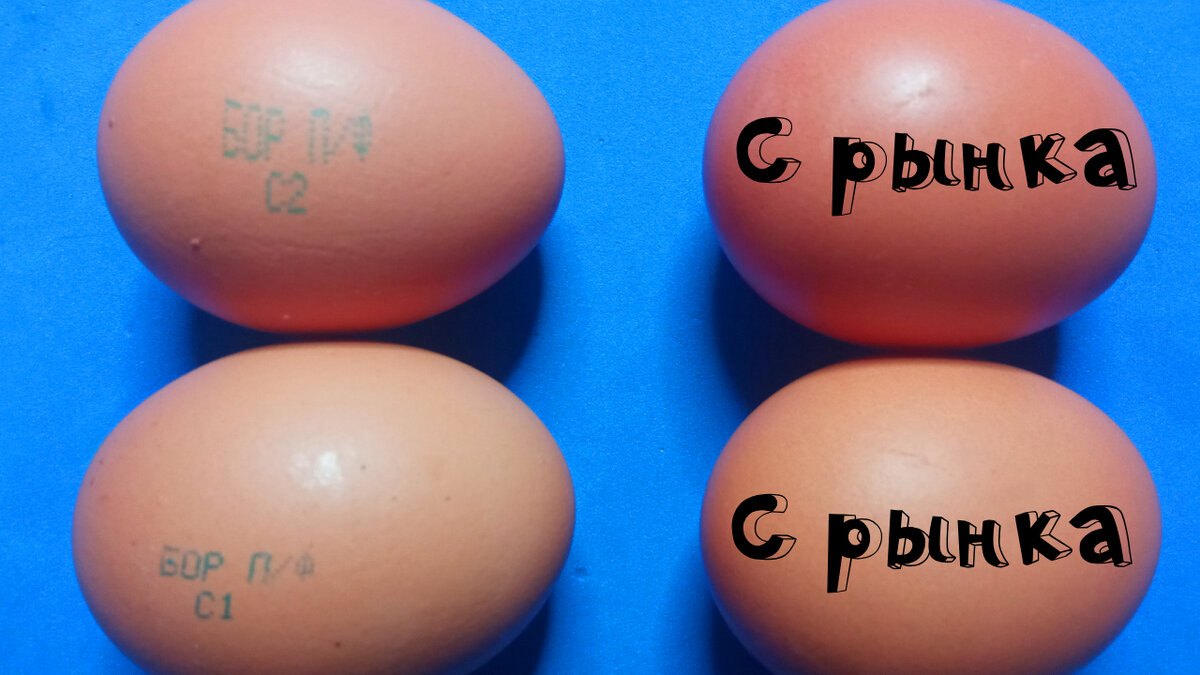 Домашние яйца и с рынка