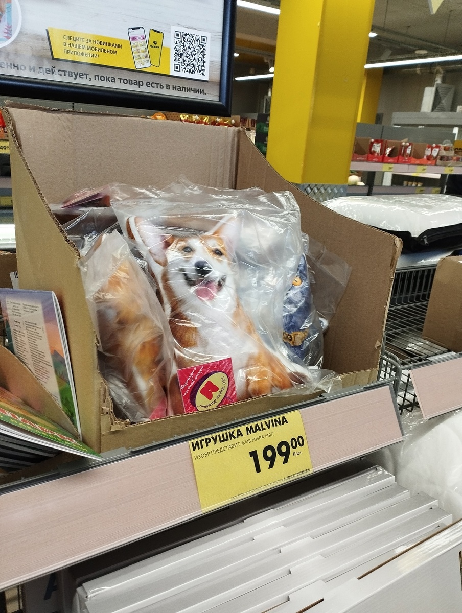 Новинки четверга в \"Чижике\" (с 7 марта): от продуктов и посуды ручной ...