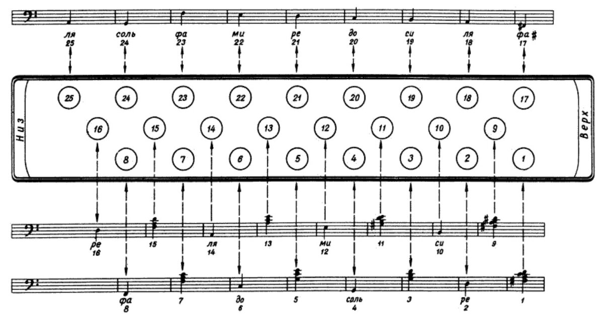 Как играть на гармошке для начинающих схемы