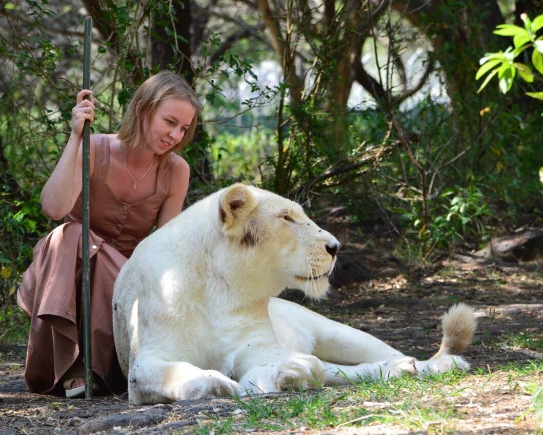 Мы гуляли не только с рыжей львицей, но и с белой — это очень редкие животные, гид сказал, они приносят удачу. Кажется, она даже урчала! Фото: Мария Попова