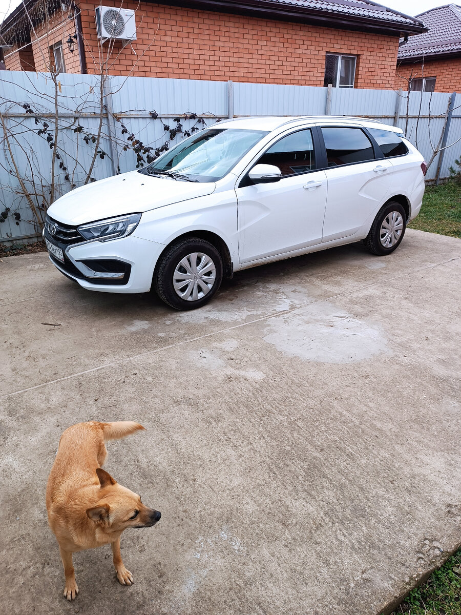 Мэри охраняет нашу новую машину😍