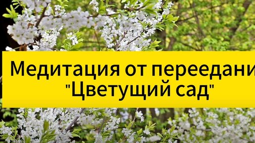 Медитация от переедания 