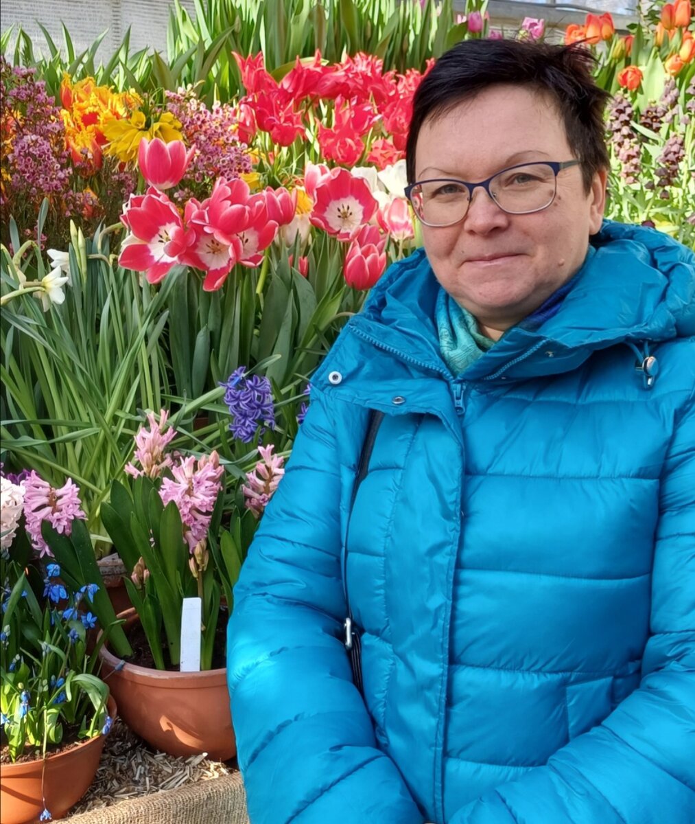 Тюльпановое безумие:чтобы попасть на "Репетицию весны" любители цветов ...