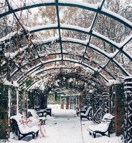 Ботанический сад зимой фото