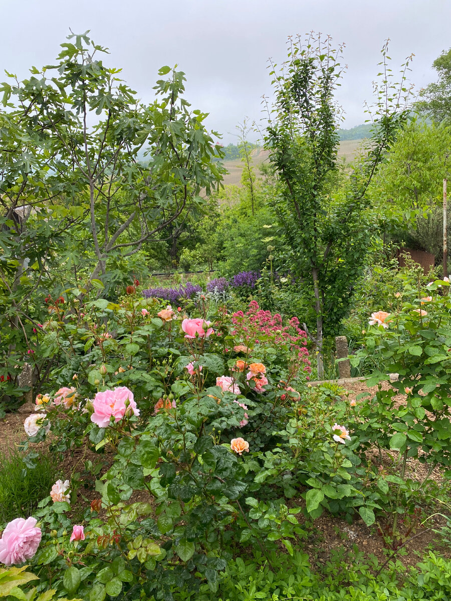 Летом так хорошо! Главное, никаких правил!))