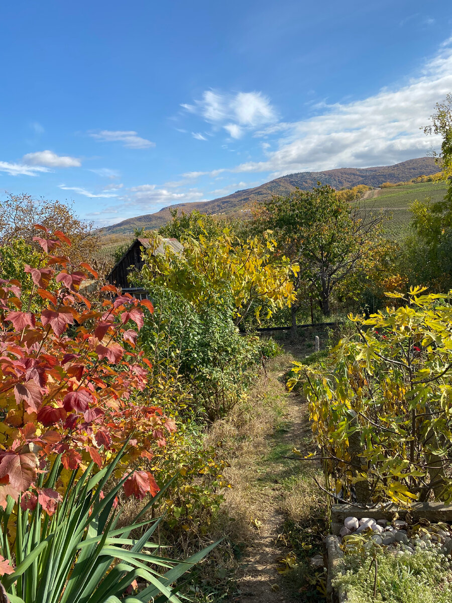 Осенью, аналогично 