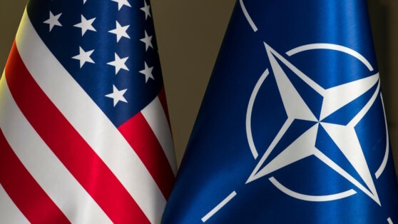    Telegraph: в НАТО призывают готовиться к выходу США из Альянса Анастасия Романова