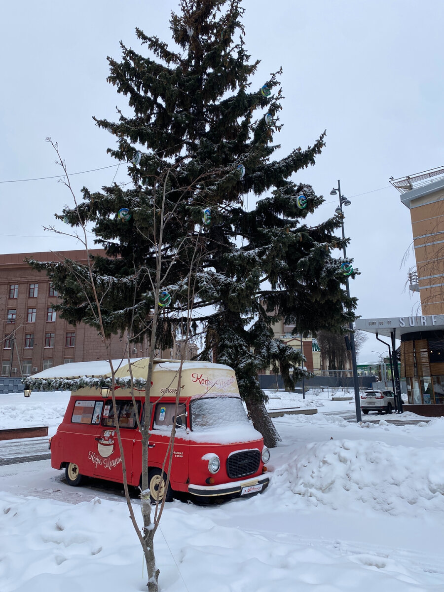 Фото автора. Настоящая зимушка-зима 