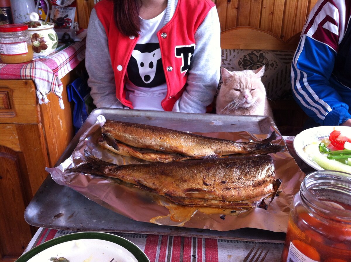 Когда то на даче