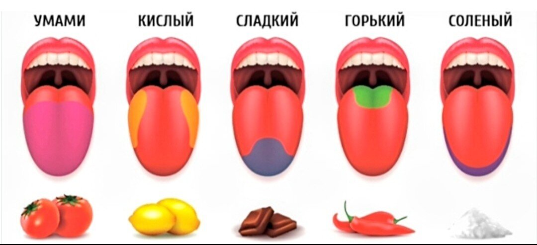 В переводе с японского языка «умами» означает «восхитительный вкус» или «приятный пикантный вкус». Имеет долгое послевкусие. Вызывает обильное слюноотделение. 