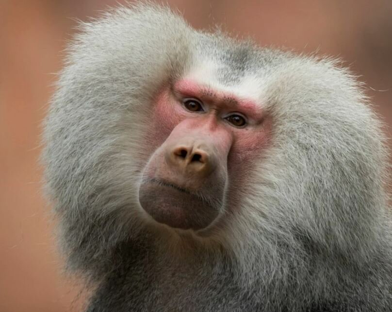 Именно так Стеша воспринимает Андрея))