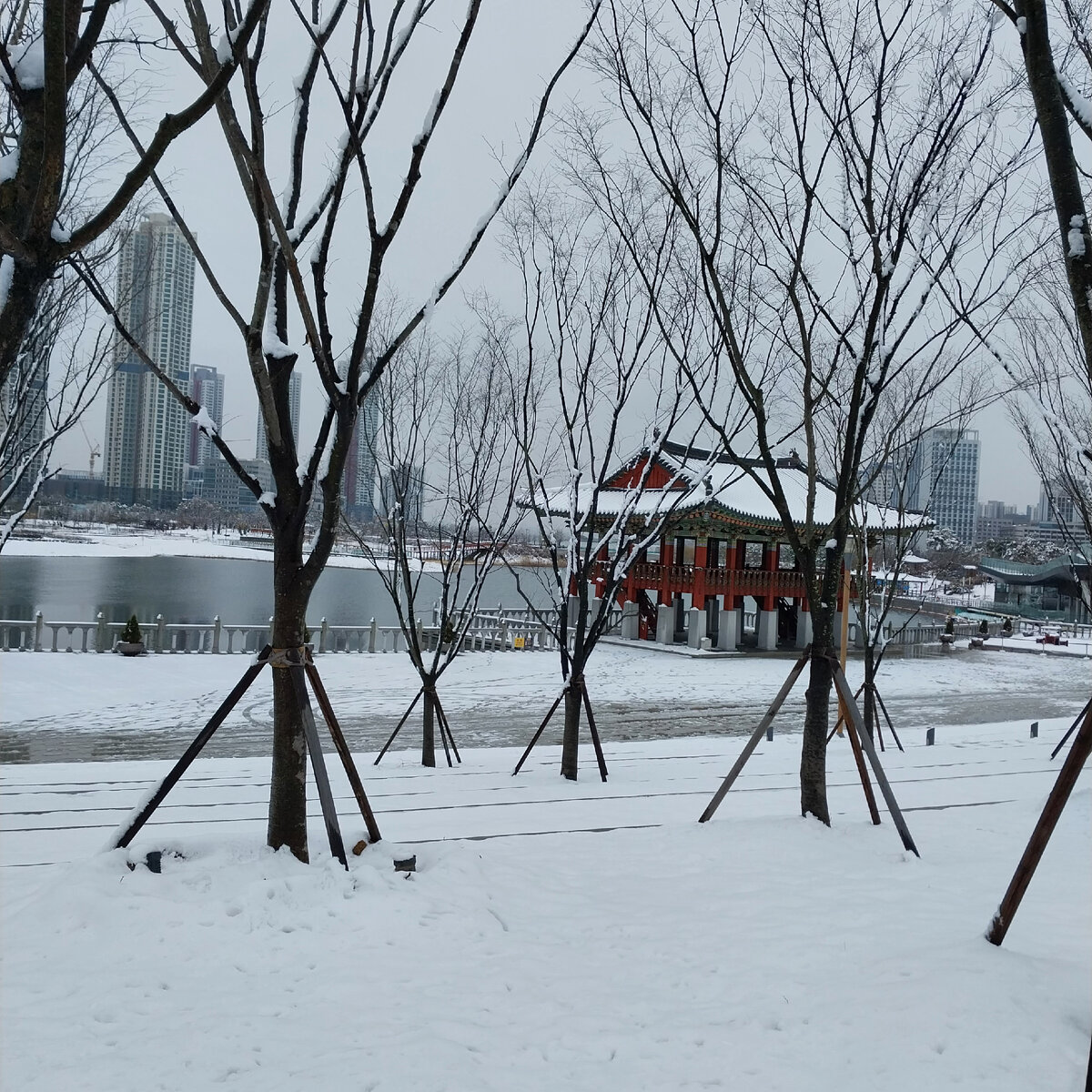 Февральские зарисовки . 