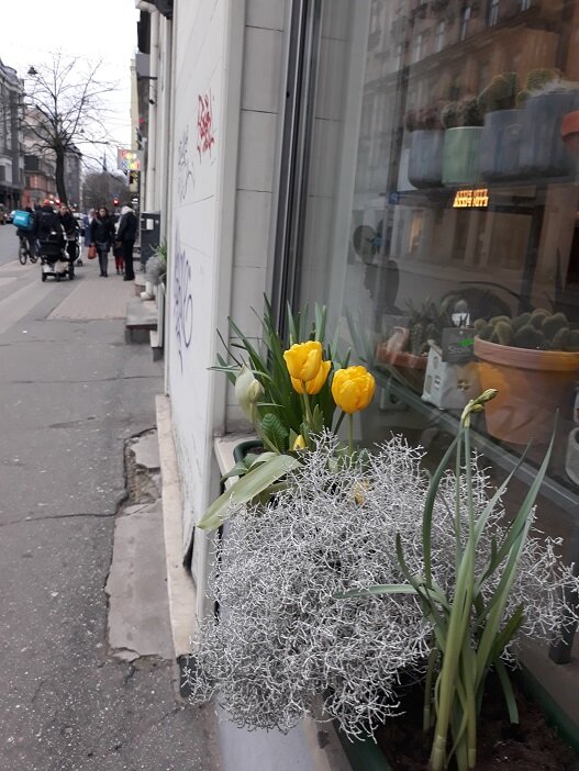 Рига, 8 марта 2024