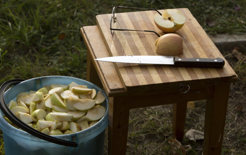    Ну, что в этом году заготовим? Фото: © Nikolay Gyngazov/Globallookpress