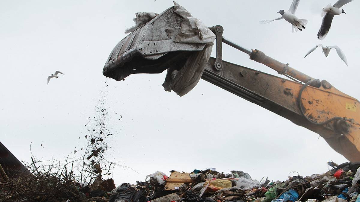    Фото: Наталия Нечаева / Вечерняя Москва