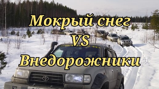 Wrangler Rubicon, Tlc80, Pajero4, Sport2, L200, Kia Sorento, Nissan NissanTerrano и УАЗ Патриот. Offroad. Внедорожники и мокрый снег