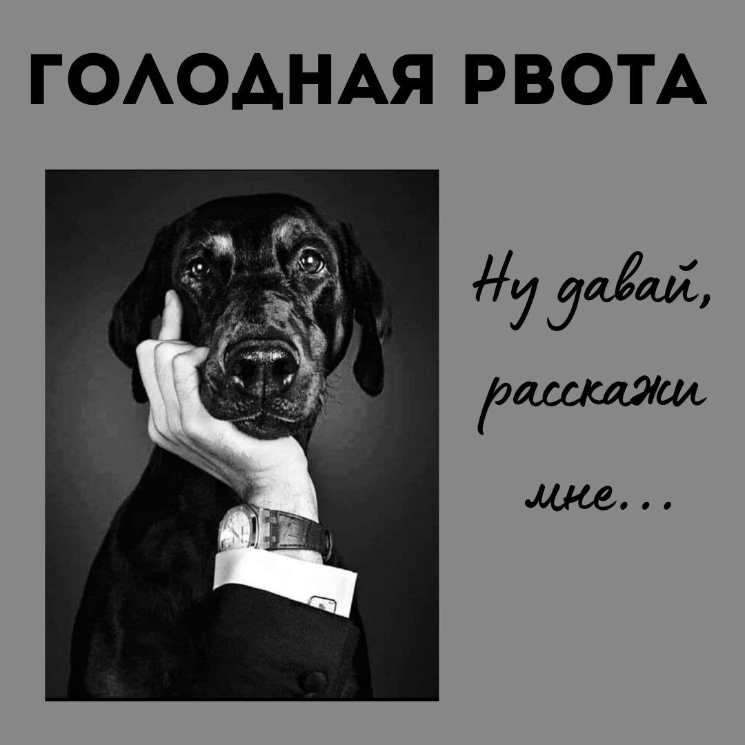 Голодная рвота у собак и кошек, норма или нет? | Ветеринарный  гастроэнтеролог Кокоша Татьяна | Дзен