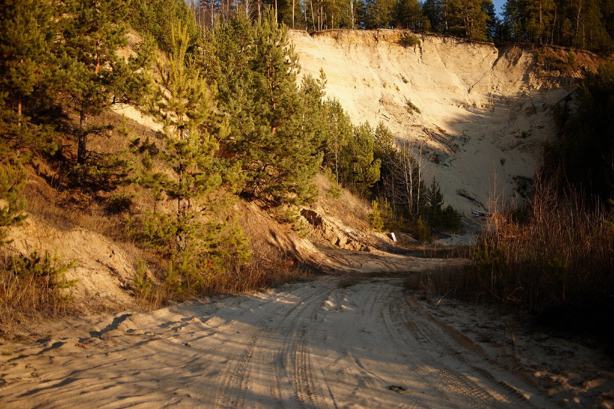 2.2 Distagon T* 2.0/35 ZE